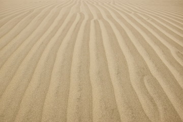 Fototapeta na wymiar Sand formations in Huacachina, Peru