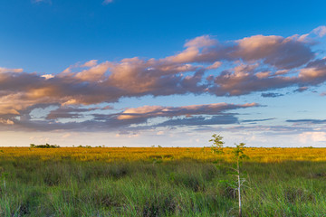 Obraz premium Remote Marsh Sunset