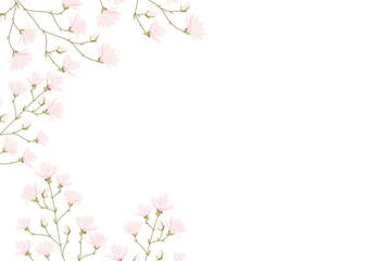 Plakat Vector magnolia flowers background illustration