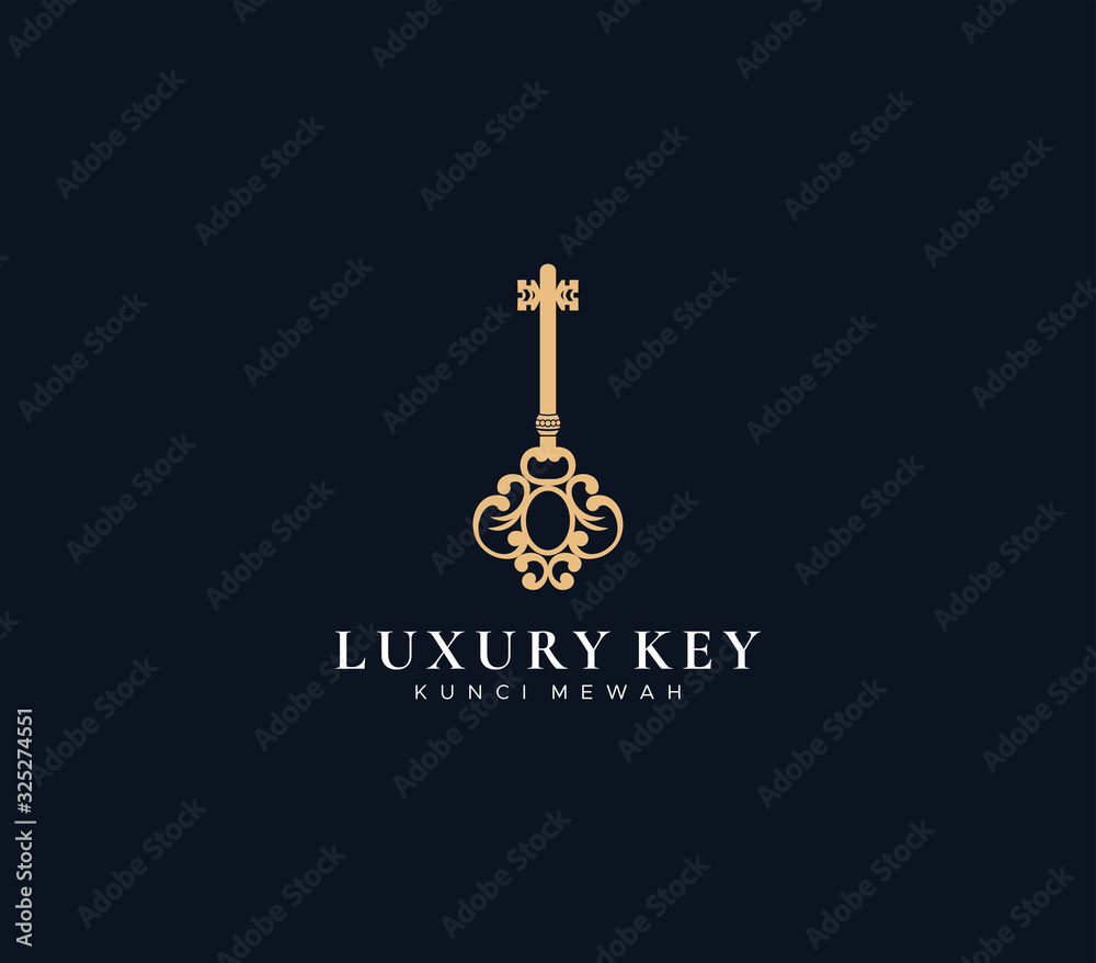 Wall mural luxury key logo dark background , symbol icon vector - Wall murals
