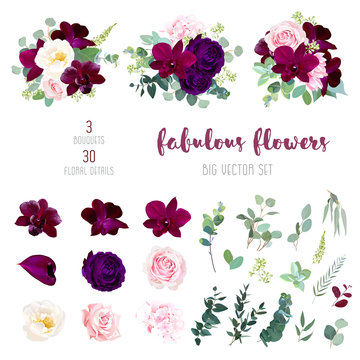 Purple garden rose, burgundy red orchid big vector collection