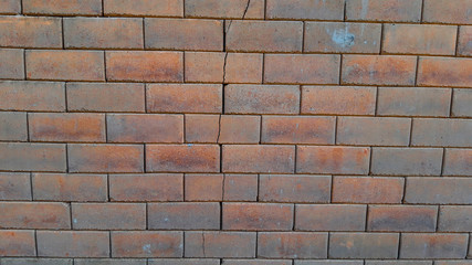 The crack in the brick wall.