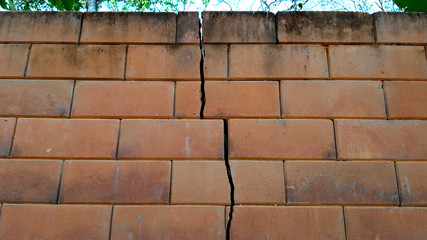 The crack in the brick wall.