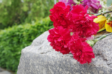  Red carnations on the granite stone of the memorial to fallen heroes. Symbol of memory.