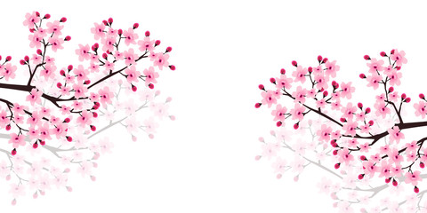 Obraz premium 桜 春 花 背景