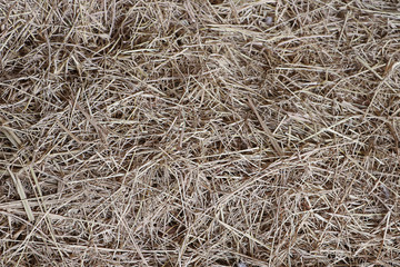 straw bale background