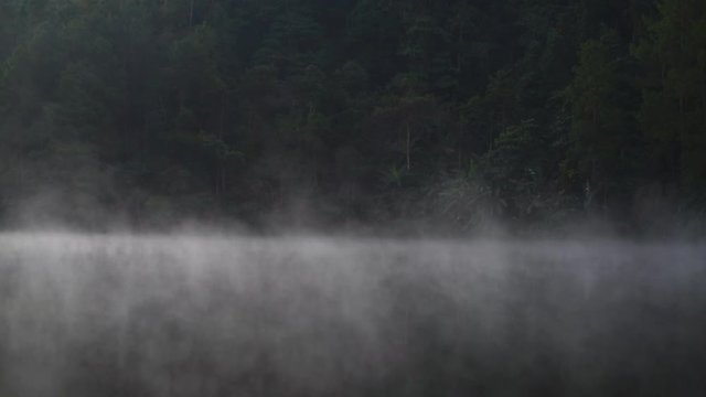 Close up Morning atmosphere Sunlight at Pang Ung lake and fog on the water surface. Tourist attraction Camping Mae Hong Son province, North of thailand. Slow Motion