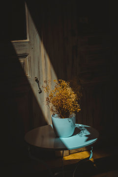 Pale blue vase with decorative dry plants illuminated by a beam of sunlight