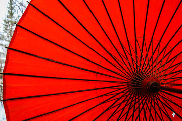 A traditional Japanese umbrella in red colour