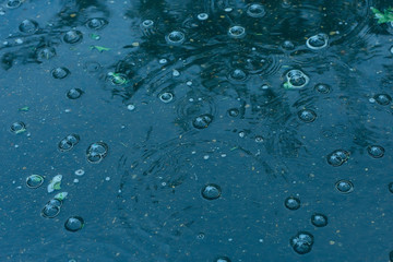 blue background puddle of rain / raindrops, circles on a puddle, bubbles in the water, the weather is autumn