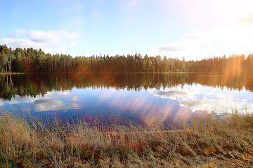 landscape in the autumn park / concept nature seasonal landscape season, autumn, forest, trees Indian summer