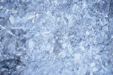 winter patterns window trees, abstract seasonal ice background
