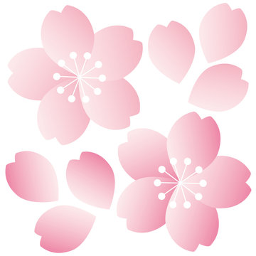 194 Best 桜素材 Images Stock Photos Vectors Adobe Stock 194 Best 桜素材 Images Stock Photos Vectors Adobe Stock