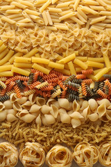 色々な種類のパスタ