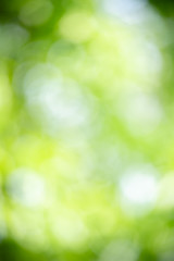 Obraz premium Beautiful abstract lights of green nature using as background or wallpaper concept