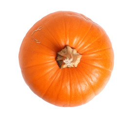 Pumpkin. Isolated on a white background.