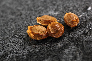 Fresh seeds of apricot on granite table
