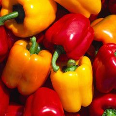 colorful fresh bell peppers 