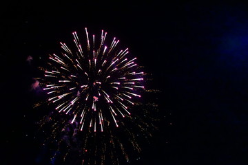 Fototapeta premium fireworks in the sky