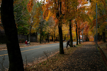 芸術の秋　絵を描く人々のいる紅葉する街並み