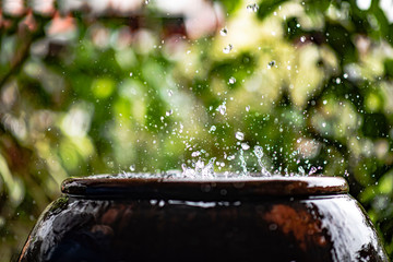 Harvesting downpour rainwater from the roof in the traditional earthen jar, Thailand, Asia.