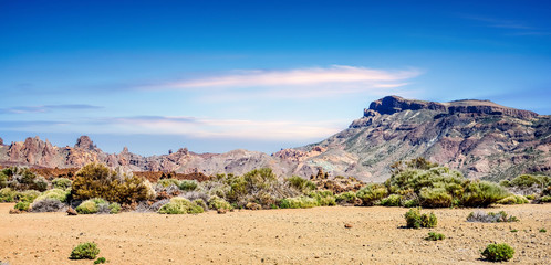 visit of the Teide park and its desert landscapes in Tenerife