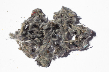 Dust, Fluff, Remnant of clothes on laundry after removing from clothing dryer on white background, Laundry machine cleaning concept, Close up and macro shot