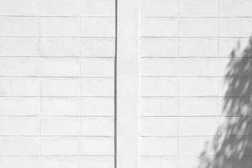 Abstract gray shadow background of natural leaves tree branch falling on white wall texture for background and wallpaper, black and white monochrome tone