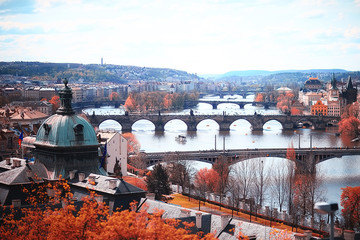 landscape yellow autumn prague / panoramic view of the red roofs of Prague, the czech Indian summer landscape with yellow trees - obrazy, fototapety, plakaty