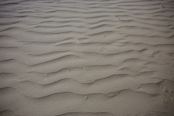 texture desert land sand dunes barkhans, deserts