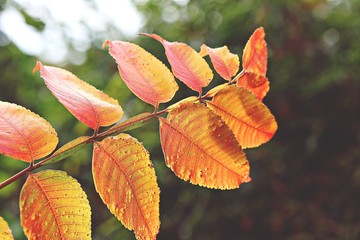 가을풍경입니다