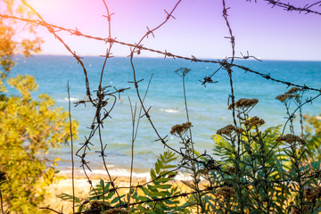Barbed wire against beautiful beach on a sunny day