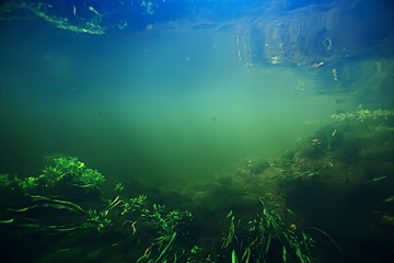 Fototapeta na wymiar underwater freshwater green landscape / underwater landscape of the lake ecosystem, algae, green water, fresh water