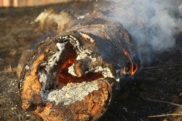 fire in the field / fire in the dry grass, burning straw, element, nature landscape, wind