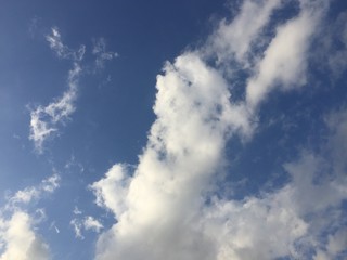 Fototapeta premium 空