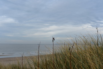 Belgiens Nordseek&uuml;ste