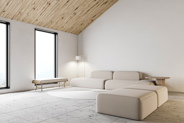 White attic living room corner with sofa