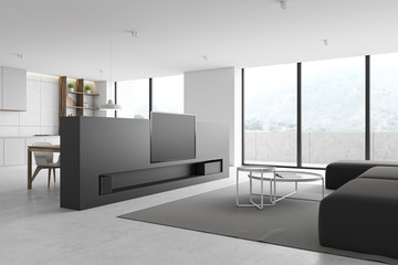 Living room and kitchen interior