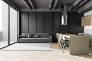 Gray kitchen interior with bar and sofa