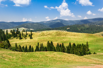 Summer in Pieniny Mountains. View of valley of nature reserve "Biala Woda" and Radziejowej Range in Beskid Sadecki. Beresnik Mountain.