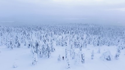Epic view of man walking down the snow and tree covered mountain during winter in Lapland, northern Europe, Finland - Powered by Adobe