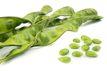 Parkia speciosa seeds, Sato seeds, bitter bean isolated on white background.Thai vegetable food