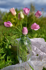 pink flowers in the garden