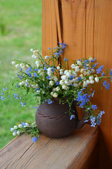 flowers in a pot