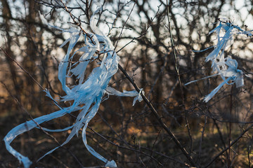 plastic bag littering the environment in the forest