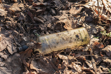 glass bottle littering the environment in the forest surrounded by leaves