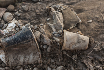 plastic cup littering the environment in the forest