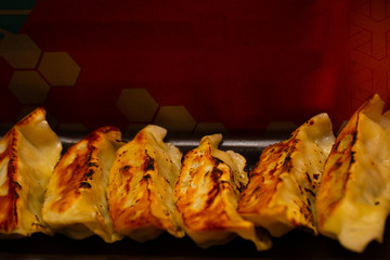 Japanese food gyoza