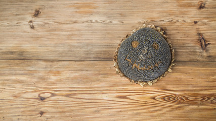 Halloween sunflower over wooden background 