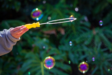 Burst your bubble